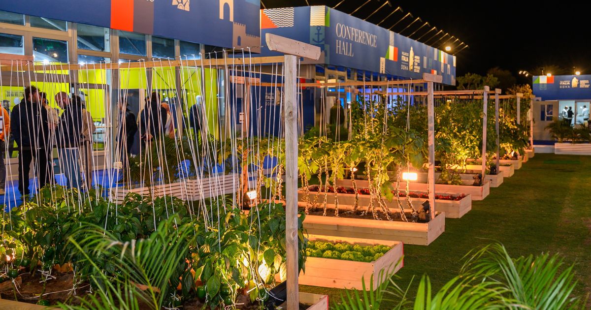 Lollobrigida inaugura il primo "Orto italiano" al Villaggio Italia di Doha