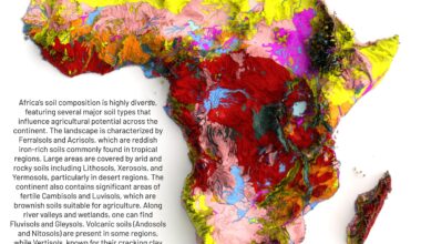[OC]Map🗺️ Showing Soil Types of Africa Continent Dataset is from FAO Map Catalogue (Domsoil)