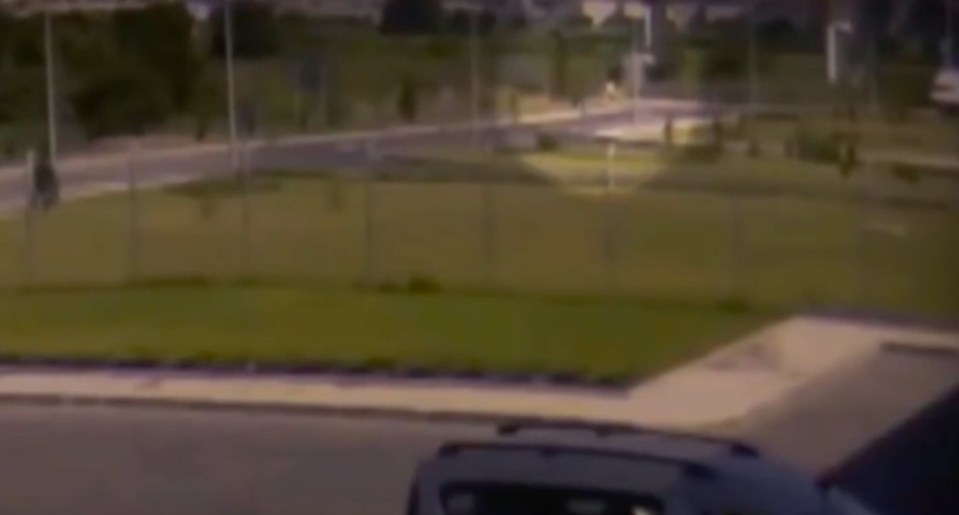 In the last moments he was caught on camera, Lars can be faintly seen running into a field