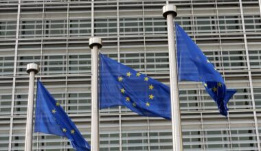 Germany pushes EU sanctions against Georgia, bypassing Hungary, Spiegel reports
