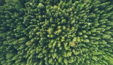 Anthropocene Epoch and Multi-Generational Legacy of Climate Change
