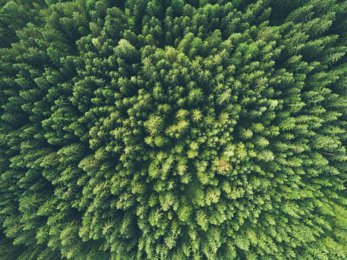 Anthropocene Epoch and Multi-Generational Legacy of Climate Change