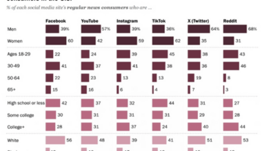 Demographic profiles and party identification of regular social media news consumers in the U.S. (Reddit, Facebook, YouTube, Instagram, TikTok, X (Twitter), Nextdoor, Snapchat, WhatsApp, LinkedIn, Truth Social, Rumble)