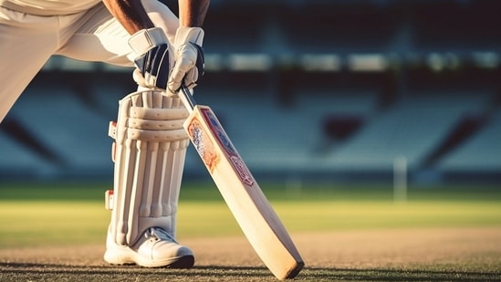 Cricket once played a conciliatory role between the two countries. (Pixabay)