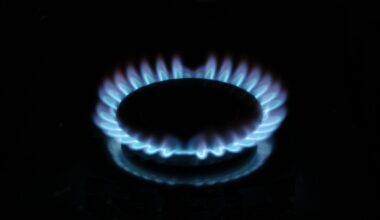 Bulgaria utilities regulator raises gas prices by 10.5% for December 2024 – The Sofia Globe