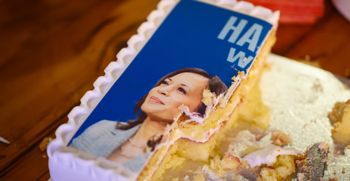 Did Kamala Harris lose the 2024 election because she was too moderate — or too progressive?