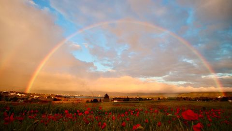 Caves, Palaces, And Tapas: The Most Amazing Things To Do In Granada, Spain