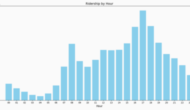 [OC] Boston's BlueBikes