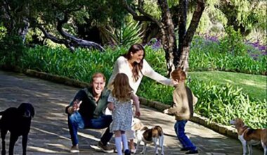 Meghan and Harry 2024 Christmas Card featuring their children
