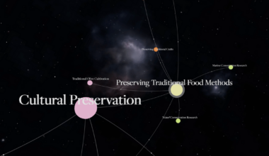Visualising responses to a survey by extracting key topics and displaying as a network graph