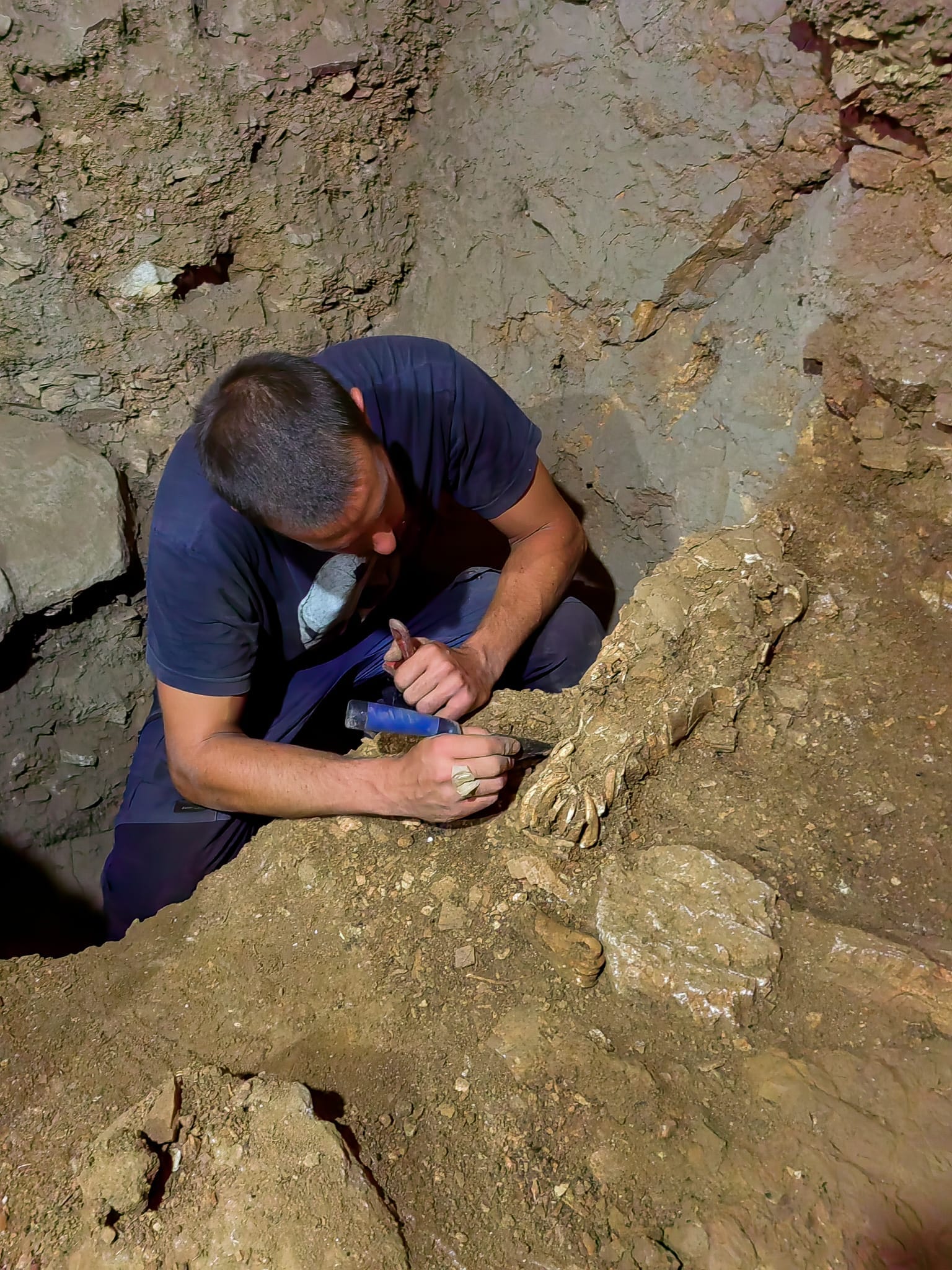 17,000 year-old horse head found buried in Croatia