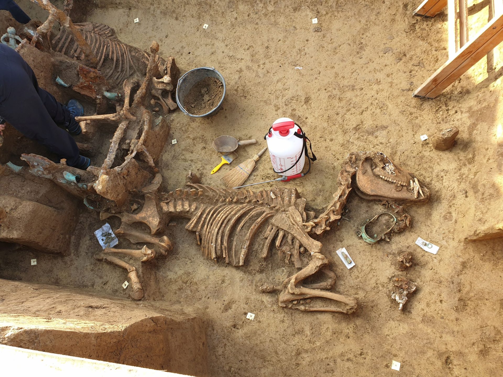 5 amazing recent archaeological finds in Croatia
