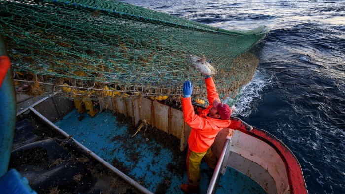 Fishing in the North Sea