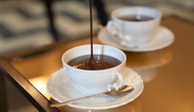 Italy’s Turin Is a Chocolate Lover’s Dream22