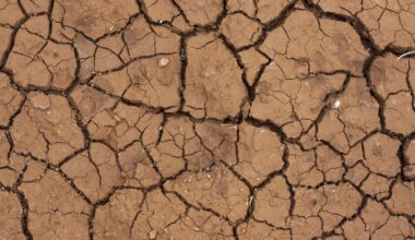 Climate Change Responsible for Irreversible Drying of Three-Quarters of Earth’s Land: UN Report