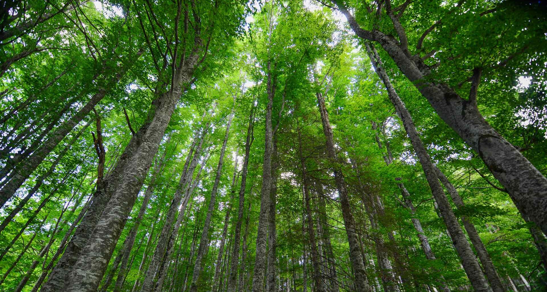 World heritage sites are considered to be "of Outstanding Universal Value to humanity."