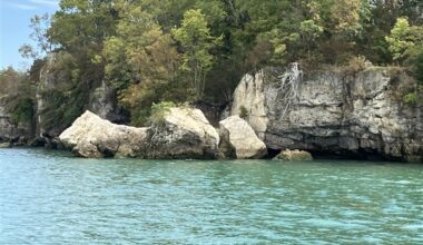 Environmental groups ask judge to accept them as co-plaintiffs in major Lake Erie case