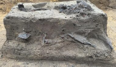 1,500-year-old Iron Age weapons sacrifice discovered in Denmark