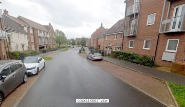 Two women and dog killed after Christmas Day 'stabbing' at flat in Milton Keynes
