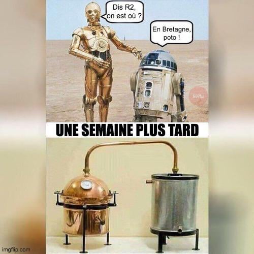 Le chouchen contre-attaque