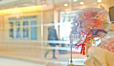 Separating science and the humanities is hurting us – Twin Cities