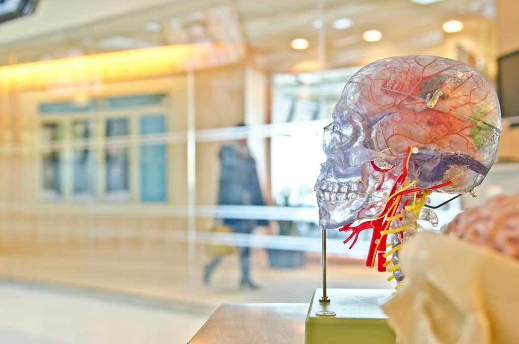 Separating science and the humanities is hurting us – Twin Cities