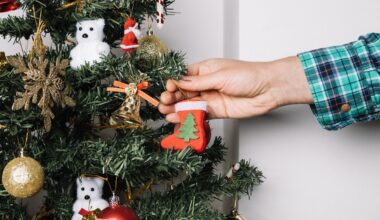 Latvian Christmas tree will set you back as much as last year / Article