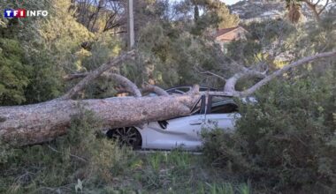 Tempête Enol : le sud de la France balayé par des vents violents, un mort à Perpignan