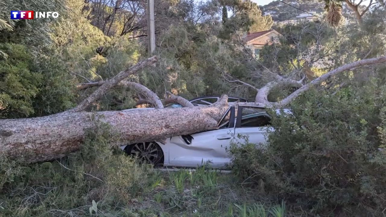Tempête Enol : le sud de la France balayé par des vents violents, un mort à Perpignan