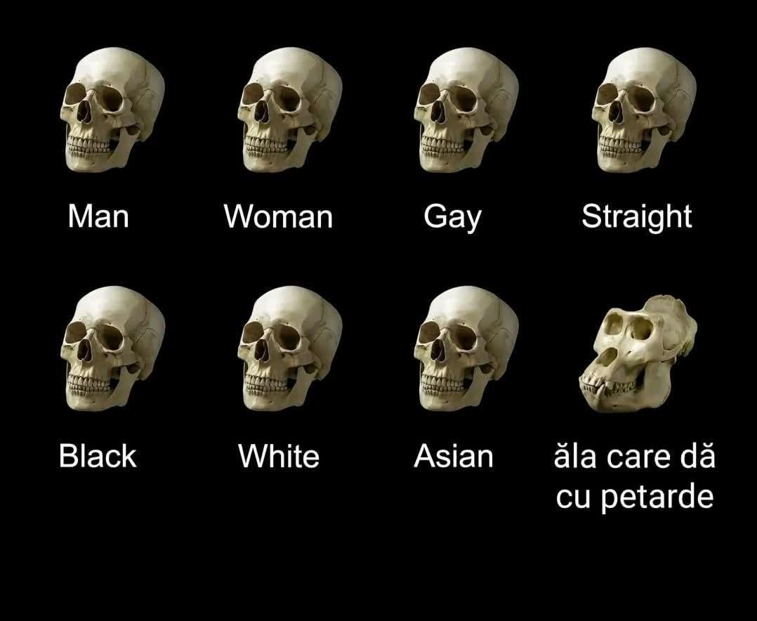 Sărbători fericite!