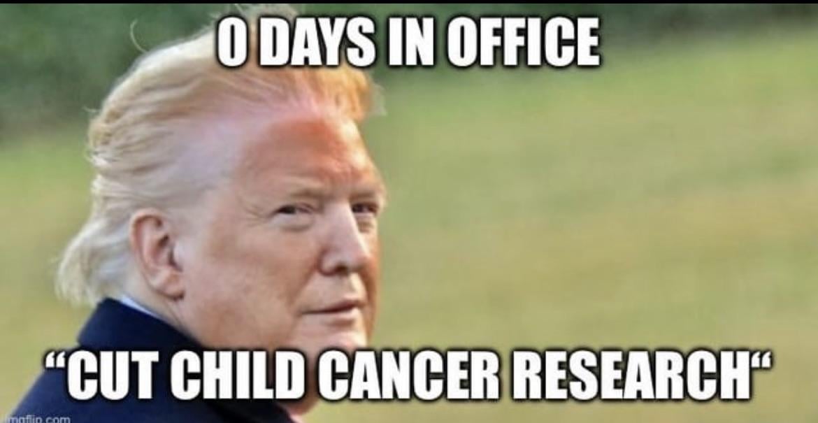 President elect Musk better get control of his V. P.