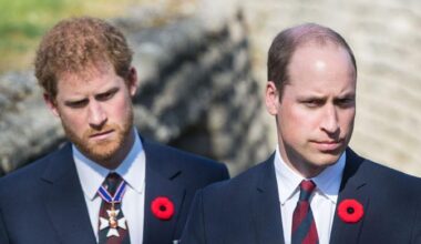 Prince William throws shade at Prince Harry with clever remark