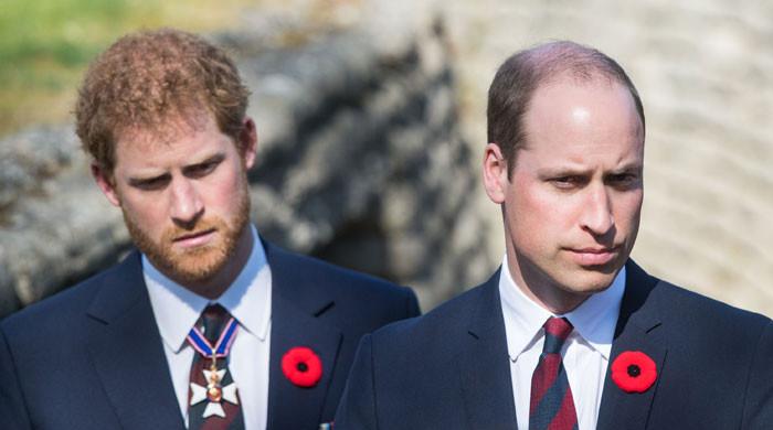 Prince William throws shade at Prince Harry with clever remark