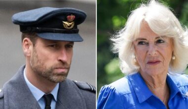 Feelings for Camilla are not what they seem
