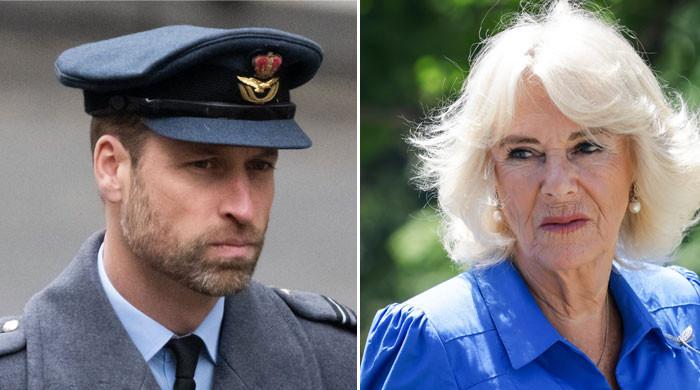 Feelings for Camilla are not what they seem