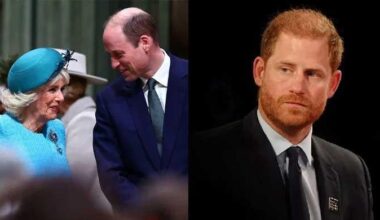 Prince Harry, who calls Camilla villain, says he loves King Charles, William