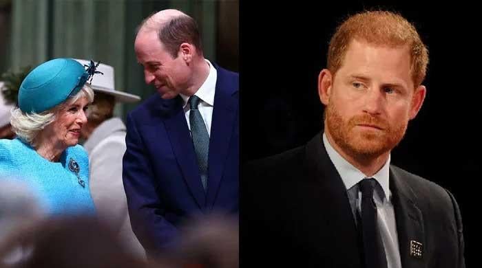 Prince Harry, who calls Camilla villain, says he loves King Charles, William