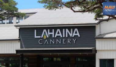 Return of holiday cheer at Lahaina Cannery : Maui Now