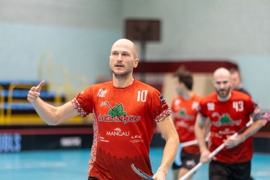 lielvarde_kusins_024.jpg
