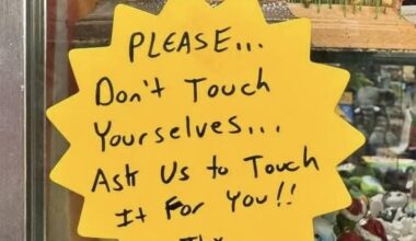 Spied in a shop window in Ballycastle