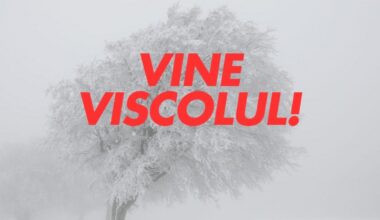 viscol