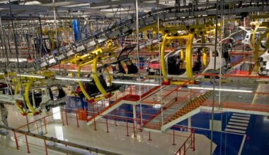 Ocse, disoccupazione in calo in Italia: 5,8% ad ottobre 2024. I dati