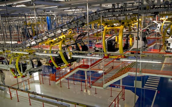 Ocse, disoccupazione in calo in Italia: 5,8% ad ottobre 2024. I dati