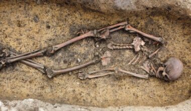 50 Viking Skeletons Discovered in Denmark