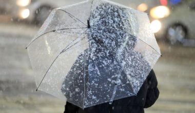 Winter might come this week in Latvia / Article