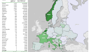 [OC] Recognized Acts of Courage: Nations Standing Against Nazi Evil (Power BI, source: The Holocaust Resource Center)