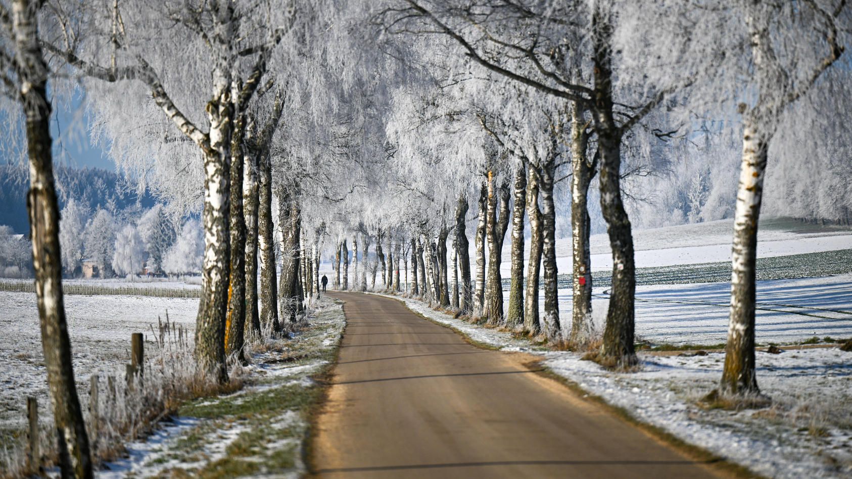 42-Tage-Wettertrend: Auf milden Jahresbeginn 2025 folgt erneuter Wintereinbruch mit Frost und Schnee