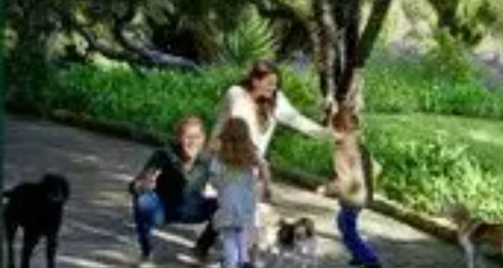 Major power message in Meghan Markle & Prince Harry’s Christmas card, revealed by body language plus secret Diana nod