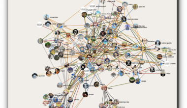 I made an interactive network of One Piece character interactions (Episodes 1–1085) [OC]