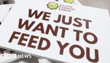 Farmers' union to raise tax concerns at Westminster